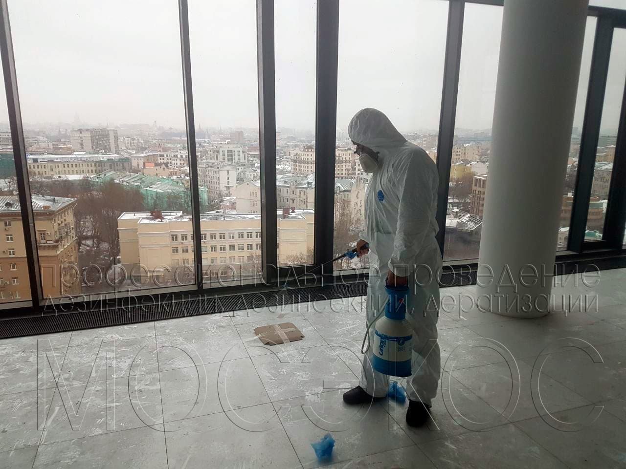 Обработка от тараканов в квартире в Волоколамске