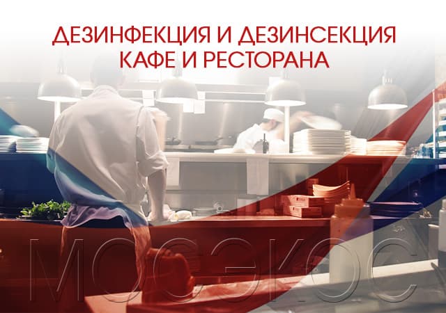 Дезинсекция предприятия общественного питания в Волоколамске